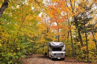 Más de 50 actividades de otoño para animar la temporada con diversión