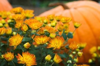 Más de 50 actividades de otoño para animar la temporada con diversión