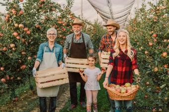 Ideas para fotos familiares de otoño que abrazan el espíritu de la temporada