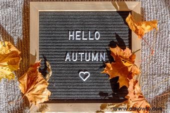 Más de 30 citas de otoño para tableros de letras para los momentos nítidos y acogedores