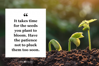 50 citas inspiradoras sobre la paciencia para volver a centrarse