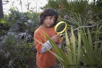 ¿Qué es la ciencia ambiental?