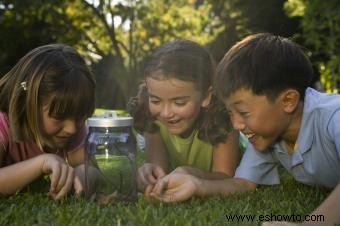 ¿Qué es la ciencia ambiental?