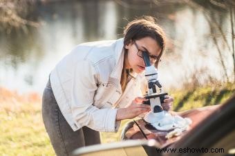 ¿Qué es la ciencia ambiental?