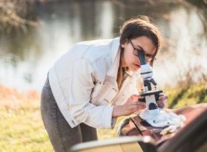 ¿Qué es la ciencia ambiental? Definición, profesiones clave e importancia