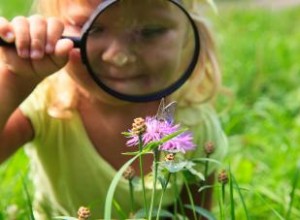 3 Experimentos Científicos Fáciles con Plantas: Ideales para la Feria de Ciencias