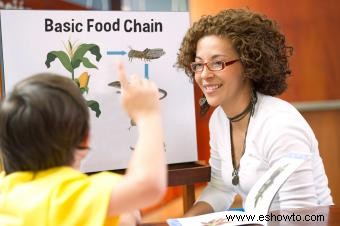 Actividades y juegos de la cadena alimentaria para el aprendizaje práctico