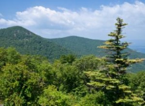 Big Canoe: La Comunidad Privada Ideal para Jubilarse en las Estribaciones de los Apalaches