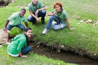 Experimentos de biología en la escuela secundaria