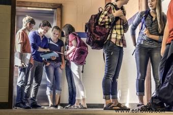 Códigos de vestimenta escolares típicos