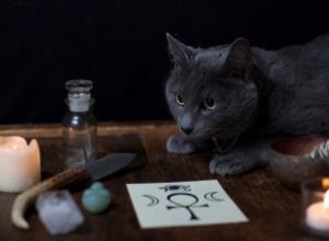 Nombres de gatos mágicos para tu felino místico