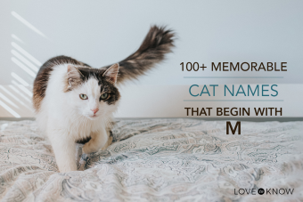 Más de 100 nombres memorables de gatos que comienzan con M