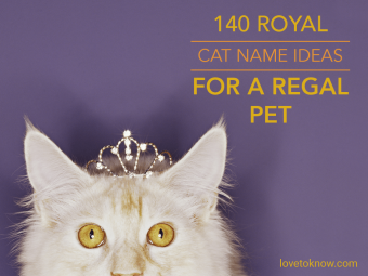 140 ideas de nombres de gatos reales para una mascota regia