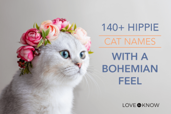 Más de 140 nombres de gatos hippies con un toque bohemio