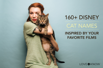 Más de 160 nombres de gatos de Disney inspirados en tus películas favoritas