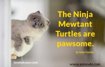 Más de 50 frases divertidas sobre gatos para fanáticos de Clever Felines