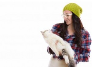 80 Nombres Friquis Épicos para Gatos: Inspirados en Programación, Cómics y Sci-Fi