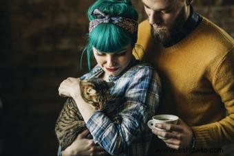 Cómo inventar nombres de gatos verdaderamente hipsters