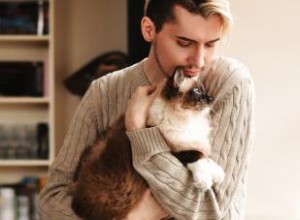 Cómo Sostener Correctamente a tu Gato o Gatito de Forma Segura