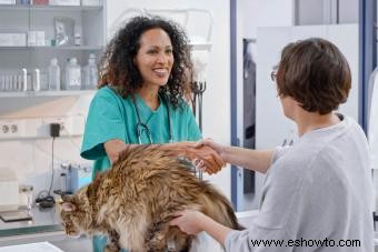 Cómo hacer que la relación veterinario-cliente-paciente sea buena