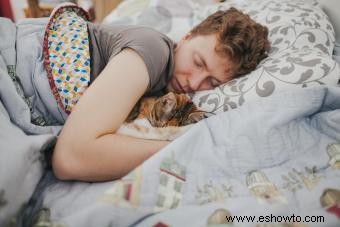 ¿Por qué mi gato duerme sobre mí? 6 razones explicadas