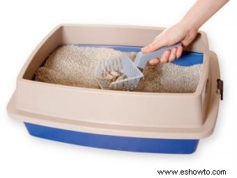 Consejos esenciales para desechar la arena higiénica para gatos