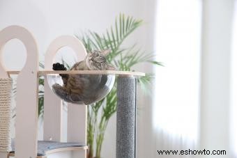 Muebles para gatos grandes 