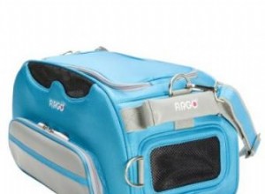 Guía Experta: Cómo Elegir la Mejor Jaula de Viaje para Gatos