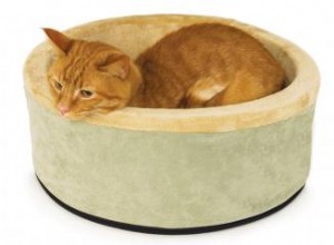 Guía para comprar camas para gatos con calefacción 