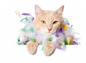 Regalos Exclusivos de Lujo para Gatos: Opciones Elegantes y Únicas