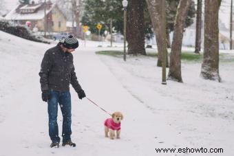 ¿Deberías tener un cachorro de Navidad para los días de los Aullidos?