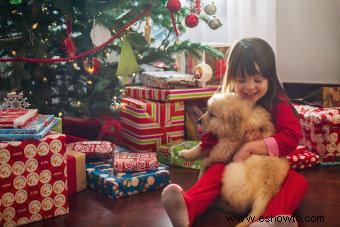 ¿Deberías tener un cachorro de Navidad para los días de los Aullidos?