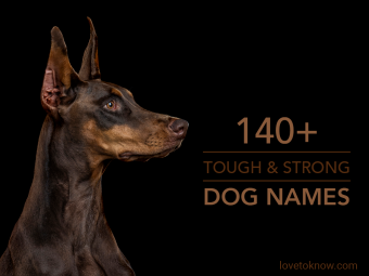 Más de 140 nombres de perros resistentes y fuertes que impresionan