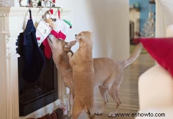 Medias navideñas para cachorros 