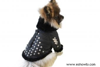 Ropa y collares de lujo para perros y cachorros 