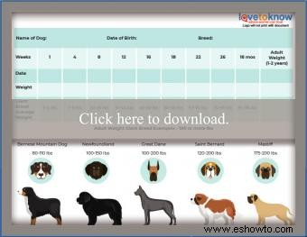 Tablas imprimibles de peso de cachorros