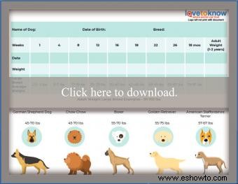 Tablas imprimibles de peso de cachorros