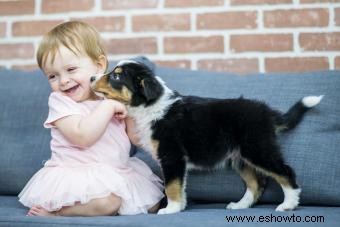 Consejos para presentar a su bebé a su cachorro