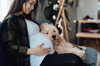 Comportamiento canino y embarazo humano