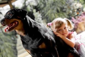¿Estas razas de perros son seguras cerca de los niños?