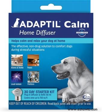 Medicamentos para la ansiedad canina:pros y contras de calmar a un canino