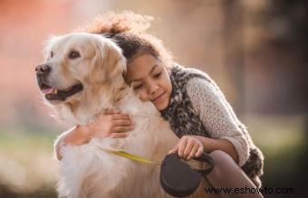 Programa de reunión del AKC para animales de compañía perdidos