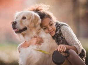 Programa de reunión del AKC para animales de compañía perdidos