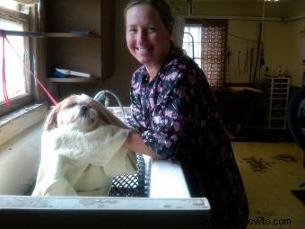 Consejos de peluquería canina de la peluquera profesional Kelly Haggard
