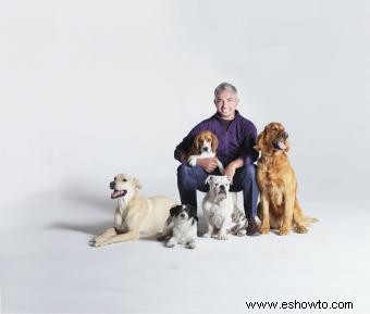 Entrevista al coproductor de Dog Whisperer Jim Milio