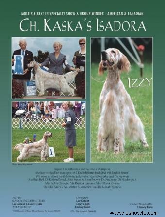 Entrevista:Lindsey Kuhn, adiestradora junior de exposición canina