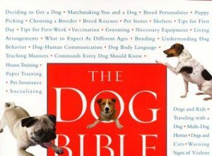 La biblia del perro:entrevista con Tracie Hotchner