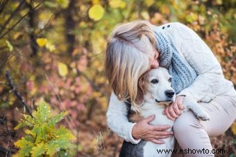 Señales de advertencia de que un perro se está muriendo