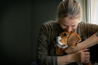 Señales de advertencia de que un perro se está muriendo