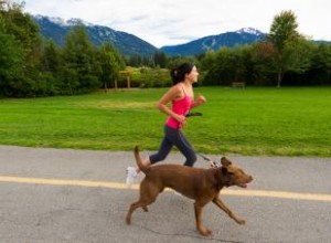 Consejos Expertos: Cómo Evitar el Exceso de Ejercicio en Tu Perro